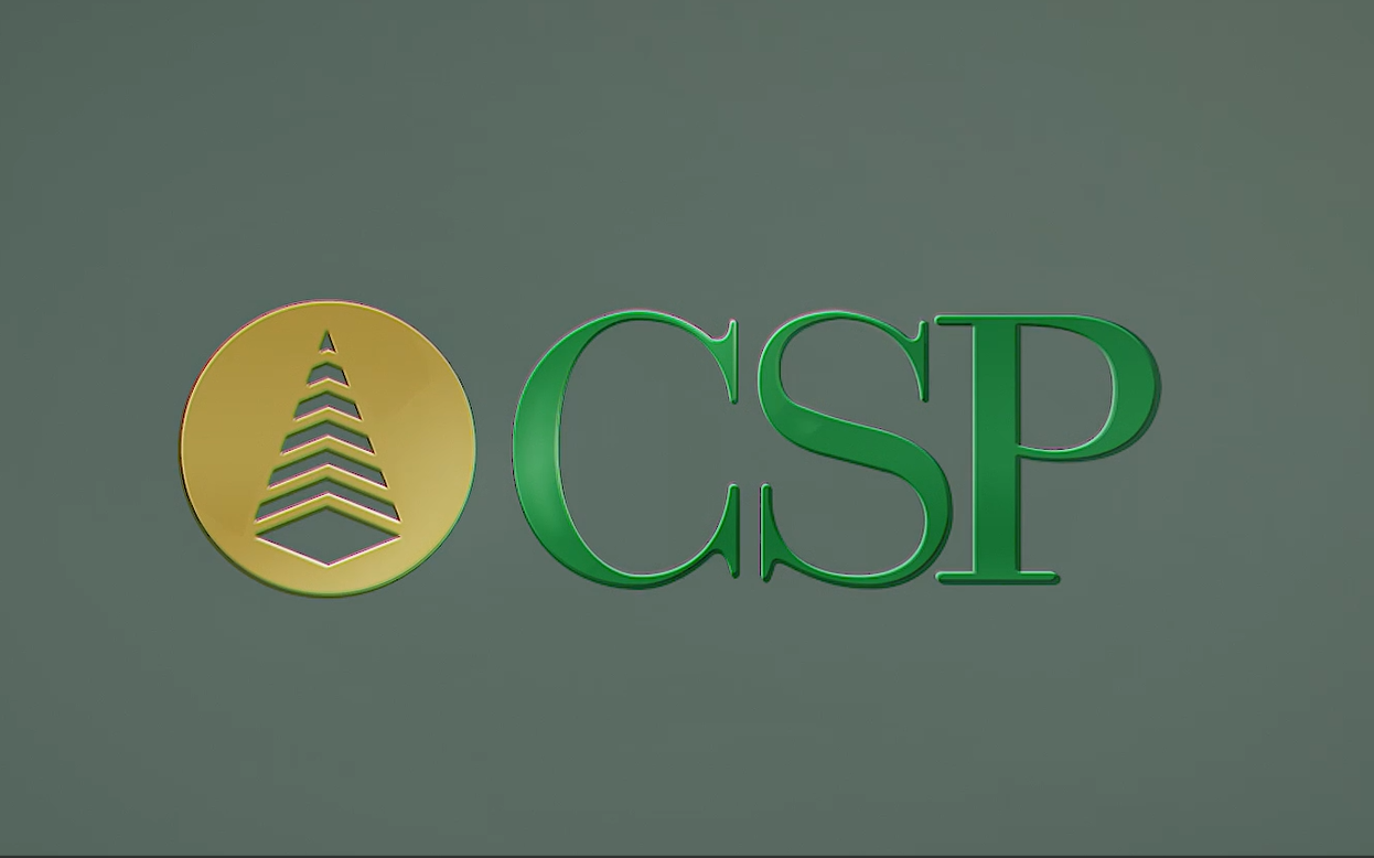 CSP - Organization for The Future